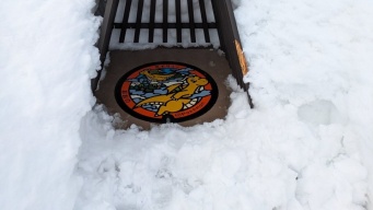 「愛にあふれすぎてて涙がでそう」「心が温まる」　福井の雪からカイリュー守る〝屋根〟に4万人感動