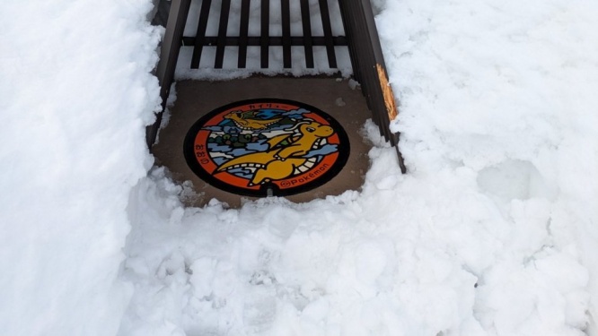 「愛にあふれすぎてて涙がでそう」「心が温まる」　福井の雪からカイリュー守る〝屋根〟に4万人感動