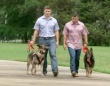 うれしいニュース。沖縄で活躍していた軍用犬2匹が引退後、アメリカの元ハンドラーに引き取られる