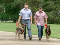 うれしいニュース。沖縄で活躍していた軍用犬2匹が引退後、アメリカの元ハンドラーに引き取られる