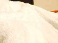 飼い主の寝床を占領し大あくび　柴犬の可愛すぎる寝顔に1.3万人ほっこり