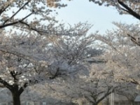 画像はイメージです