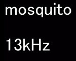モスキート音で耳年齢チェック！あなたの耳は何歳？