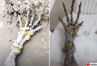 エイリアンの手？ブラジルのビーチで5本指の奇妙な手の形をした骨のような物体が発見。その正体は？