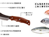 株式会社ソリッドアライアンスのプレスリリース画像