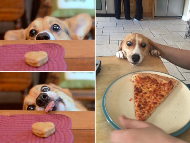 net]