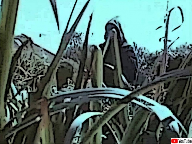 トラウマ必至、本当に怖い不穏な10の公共広告