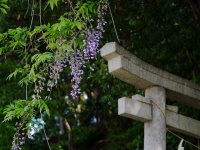 画像はイメージです（Otota DANAさん撮影、Flickrより）