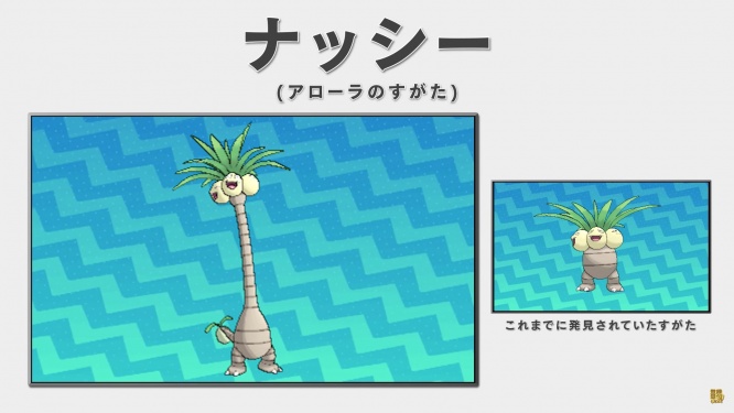 【公式】『ポケットモンスター サン・ムーン』 最新ゲーム映像 スクリーンショット 2