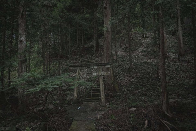 白鹿権現へと続く山道。すでに雰囲気がある