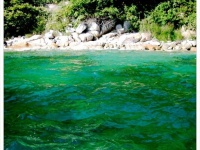 アマモの海（K_TETSUさん撮影、Flickrより）