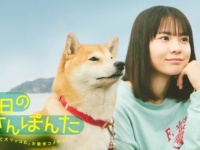 安田顕が柴犬の声を担当。お散歩コメディー『今日のさんぽんた』がFODで配信