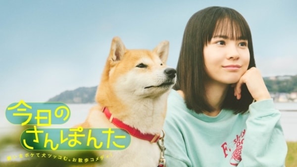 安田顕が柴犬の声を担当。お散歩コメディー『今日のさんぽんた』がFODで配信