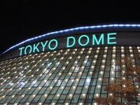 東京ドーム何個分の全国版を作りたい