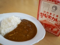 これが怒髪天カレー。東北大のプレスリリースより