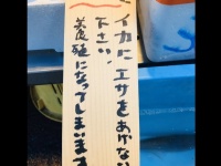 小田原魚國（＠odawarauokun）のツイートより