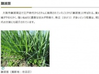 画像は大阪市ホームページより