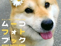 ムーコはフォトブックを出すほどの人気犬