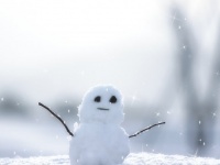 雪の特異日を調査