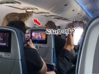 お客様？離陸中はシートベルトを締めてください。飛行機が離陸中に突如現れた猫
