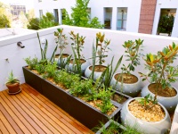 ​ズームインサタデー、自宅マンションの不具合の見つけ方。バルコニーの排水をチェック