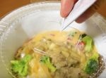 【はいじぃ迷作劇場】【すき家の暴走】牛丼の向こう側の新メニューを食べてみた。