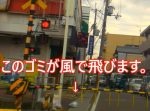 風でゴミが道路の真ん中に ⇒ その時良い人が現れる！