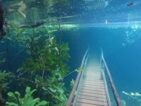 透明すぎて水中都市。ブラジル最高純度を誇るラプラタ川が増水、木々や橋を飲み込んだ時の映像
