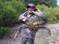 これはでかい！巨大ガニ「ノコギリガザミ」を泥の中から捕獲！（オーストラリア）