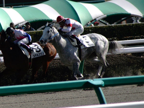 競馬予想 15年ゴールドシップの覇権宣言 Teramagazine連載38 デイリーニュースオンライン 競馬予想 15年ゴールドシップの覇権宣言 Teramagazine連載38 デイリーニュースオンライン