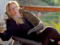 猫初体験「助けて、コレどうしたらいいの？」これまで猫に触れたことのなかった女性、突然膝に乗られて大パニック
