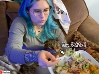 猫のサラダアタックチャレンジ。フォークを口に入れようとした瞬間の出来事でした