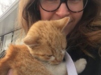 この人ならいける！あたたかな女性の胸に飛び込んできた野良の子猫、家族として迎え入れられる（カナダ）