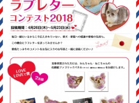 新日本カレンダー株式会社のプレスリリース画像