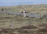【チン事】イギリスに全裸バックパッカーが出没！