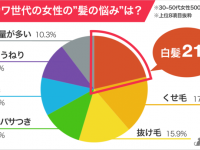 株式会社プレスマンのプレスリリース画像
