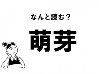 【難読】“もえめ”じゃない？「萌芽」の正しい読み方