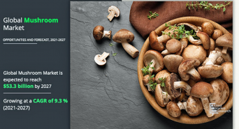 株式会社グローバルインフォメーションのプレスリリース画像