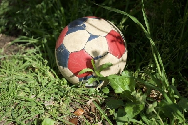 （画像はイメージ）