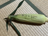手術を終えた母のために...　小3次女の〝優しい工作〟に6.6万人感動「すごく好き」「ほんわかします」