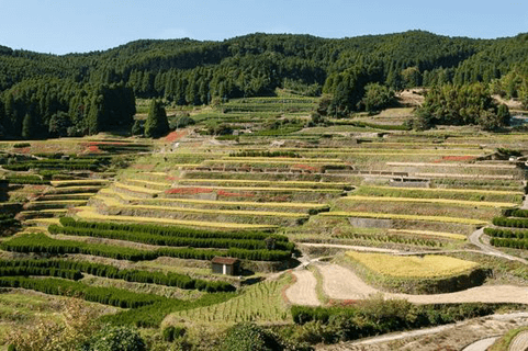 自分磨きの旅はドライブが熱い！　一人旅にピッタリなドライブスポット5選☆#6