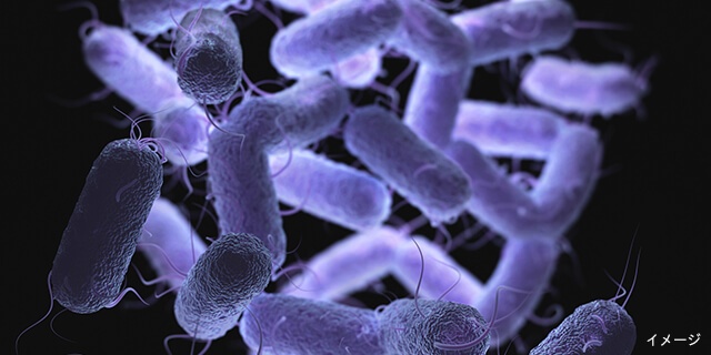 「Doctors Me（ドクターズミー）」コラム画像