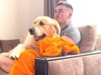 愛犬に「お願いだからそばにいて！」ゴールデンといっしょにホラー映画を鑑賞してみた