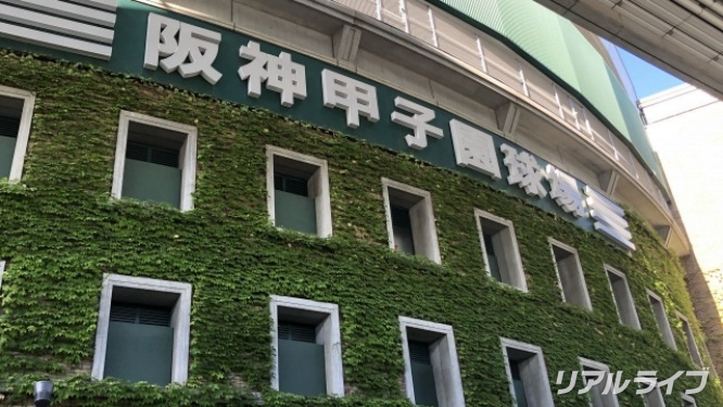 甲子園