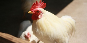 「Doctors Me（ドクターズミー）」コラム画像