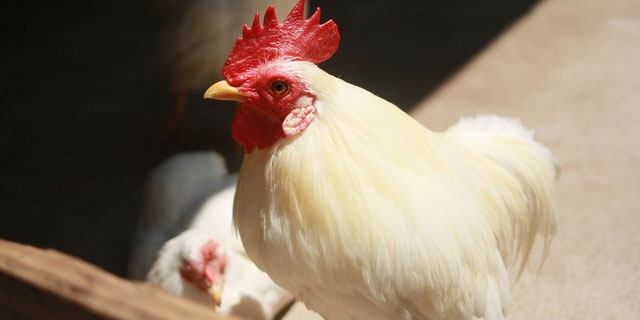 「Doctors Me（ドクターズミー）」コラム画像