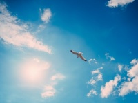 【心理テスト】空を飛ぶならどうやって飛びたい？　「あなたの恋愛の特徴」