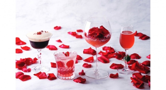 みなとみらいPRセンターのプレスリリース画像