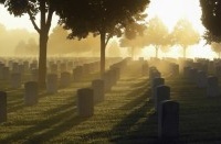 墓地から流れ出すヒ素。海外における遺体埋葬とヒ素の歴史。