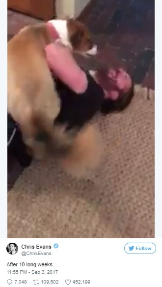 クリス・エヴァンスと愛犬ドジャーの再会の瞬間が感動的！【映像】